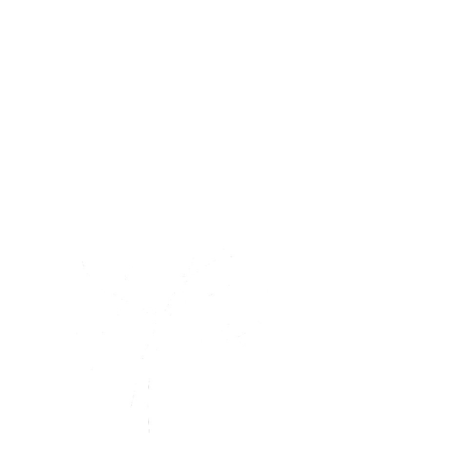 Logo New Costruction srl bianco
