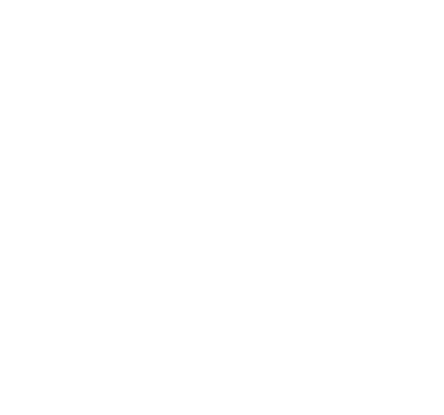 LOGO Studio Momentum
