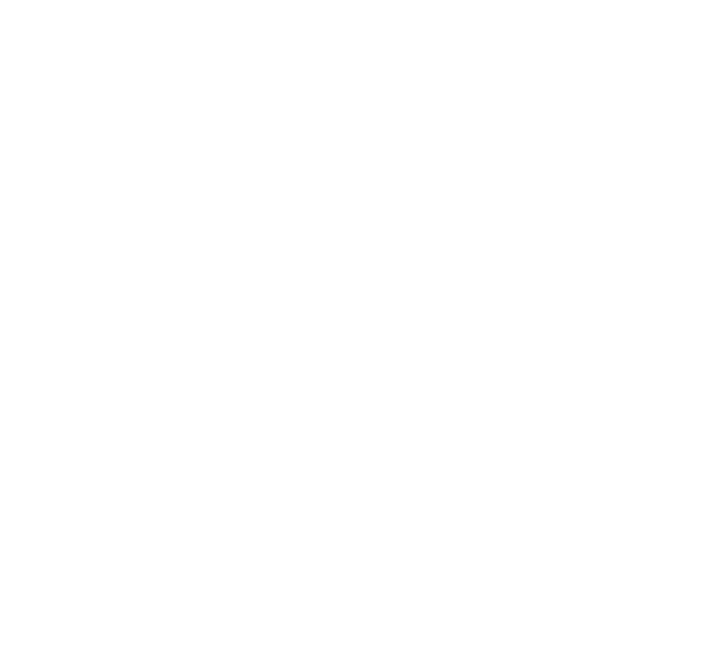 LOGO Studio Momentum