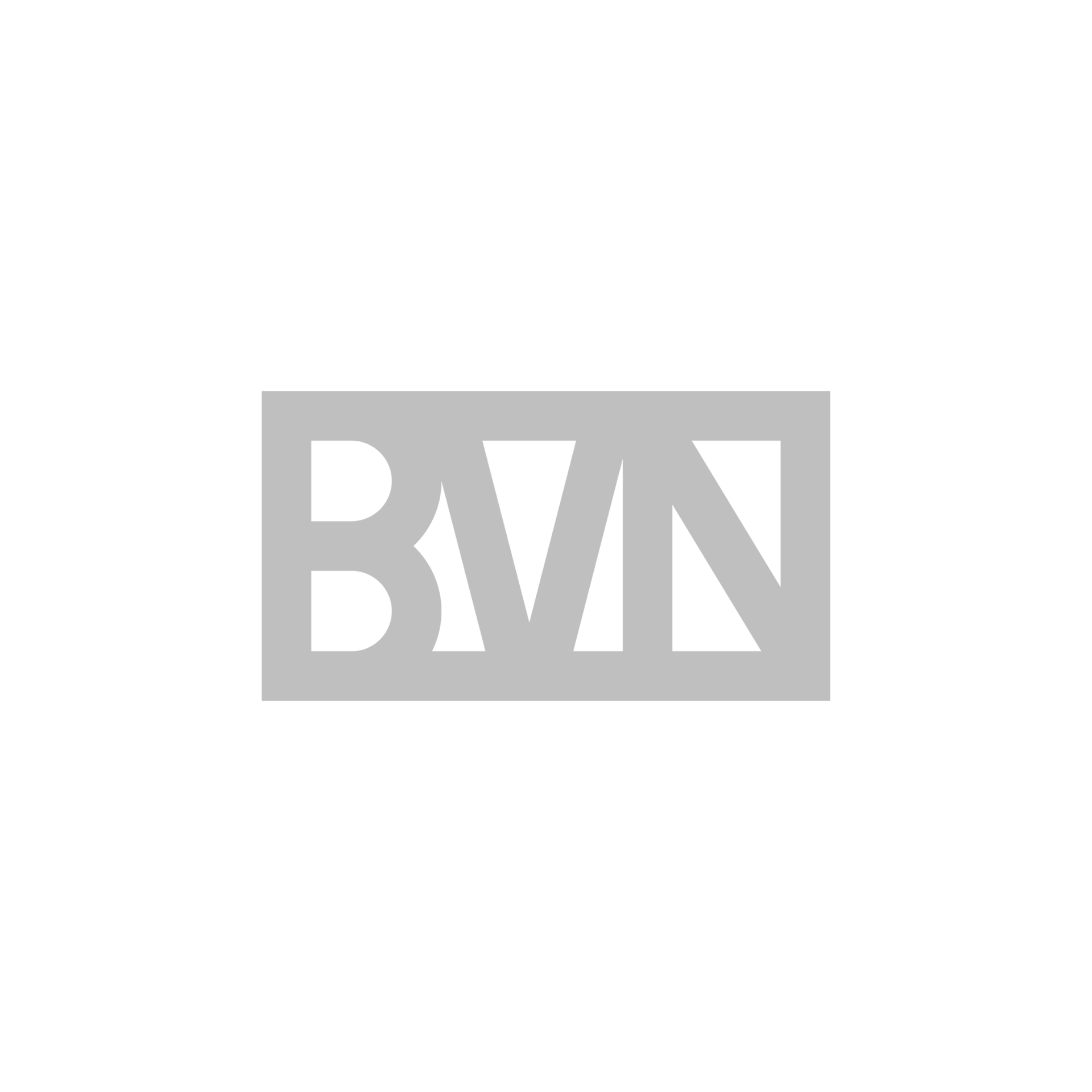 BVN Logo