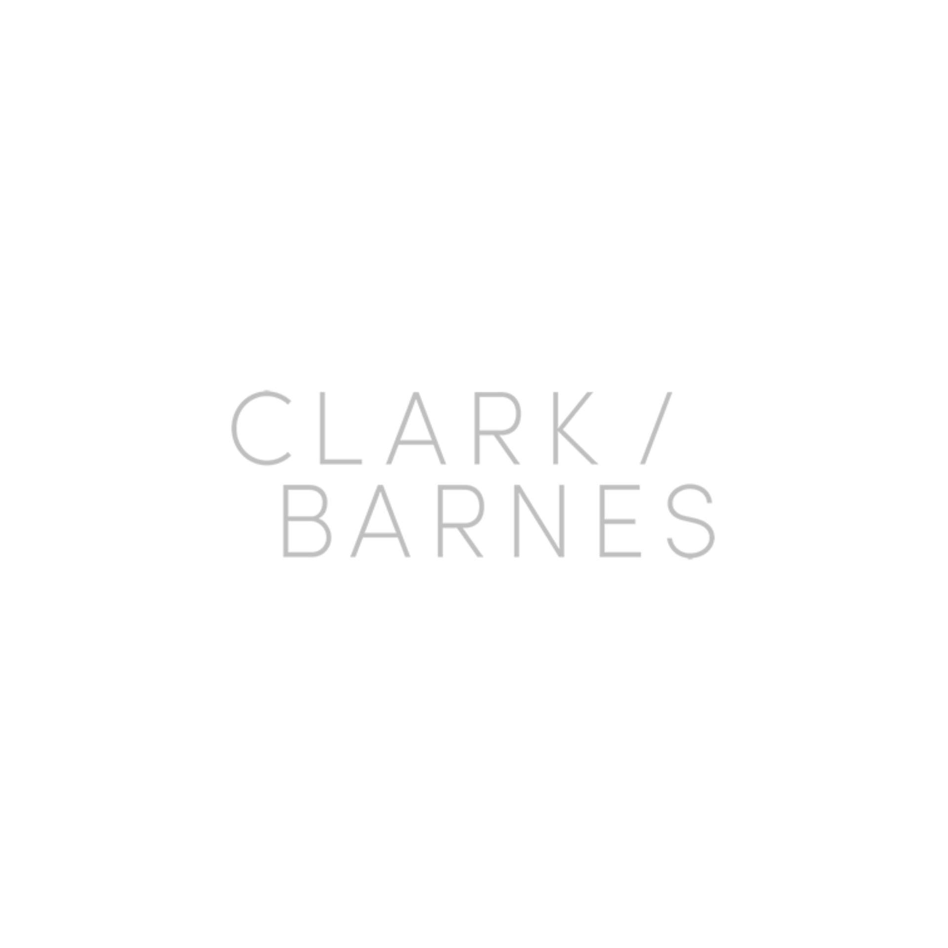 Clark and Barnes Logo