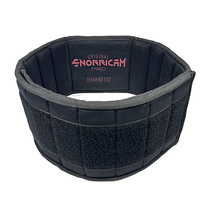 SC HARNESS BELT