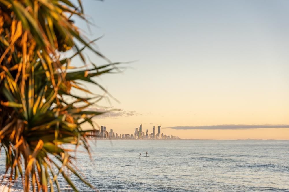 A View of A City Skyline from A Beach with A Palm Tree in The Foreground — Dazzling Blue Pool & Spa Centre Gold Coast in Palm Beach, QLD