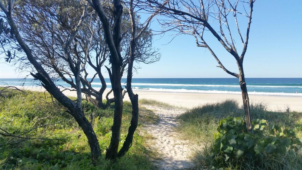 Path Leading to A Beach with Trees on Both Sides — Dazzling Blue Pool & Spa Centre Gold Coast in Casuarina, NSW