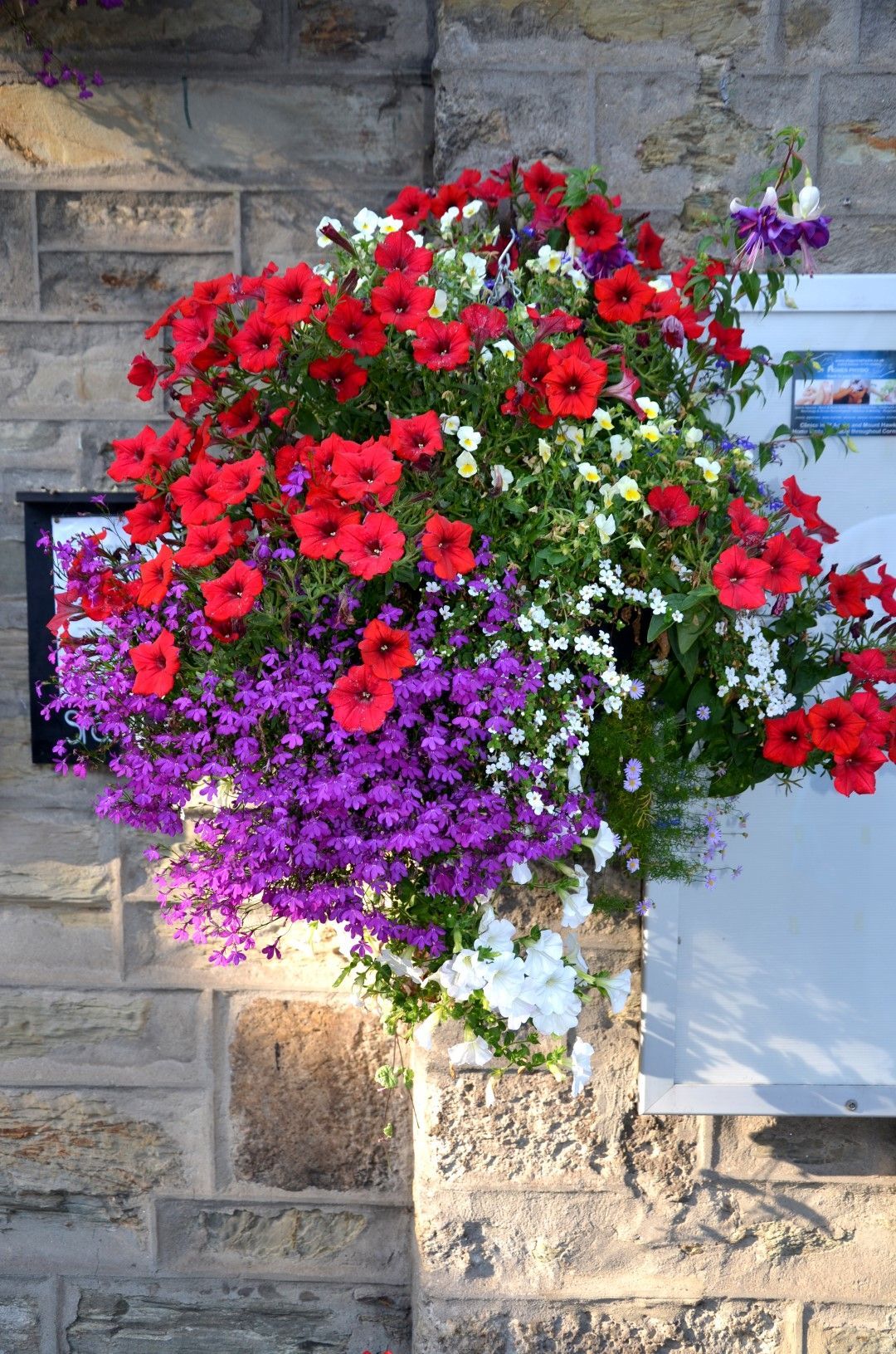 Hanging basket overflowing with red, purple, and white flowers against a stone wall.