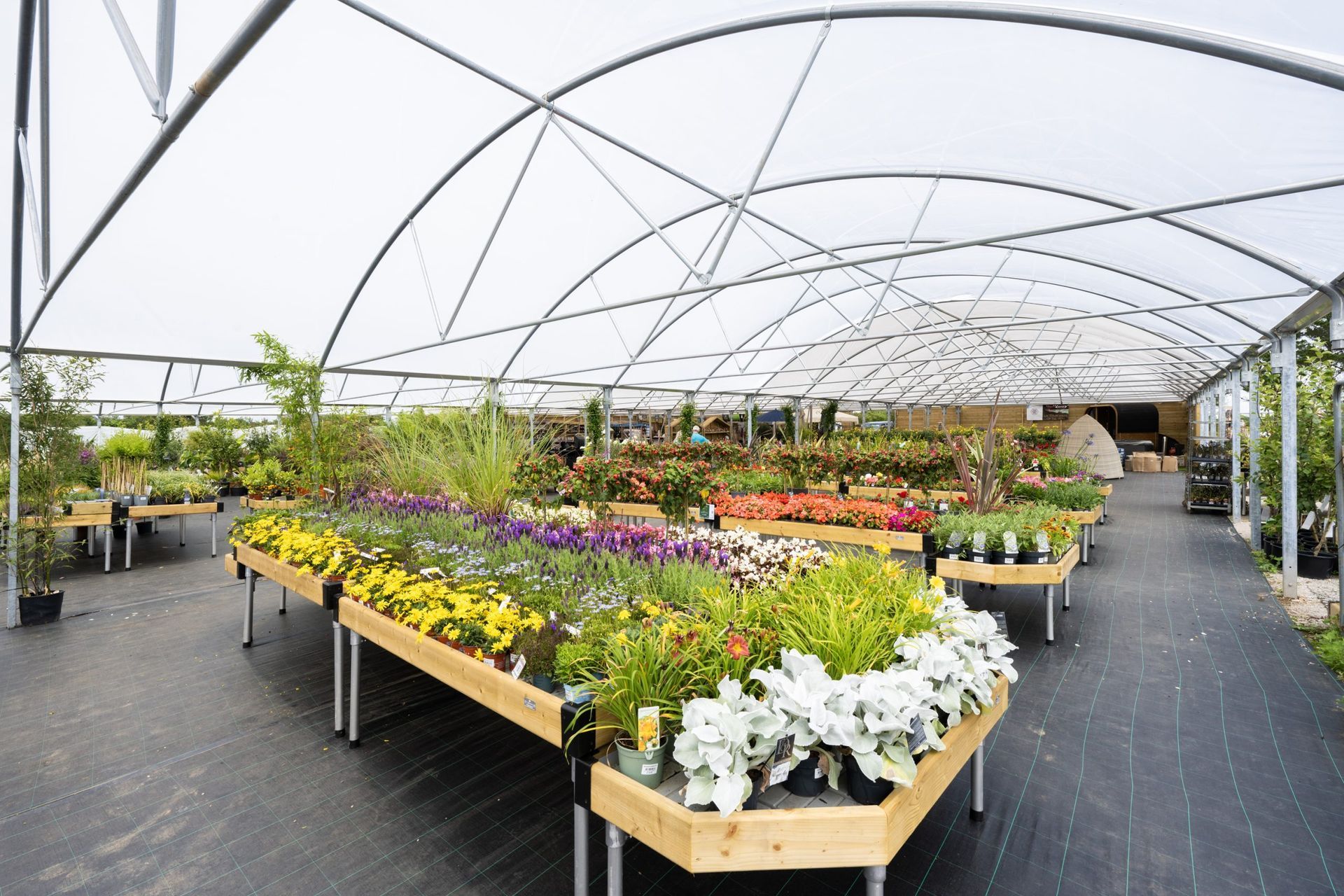 A well-lit nursery with plants arranged on wooden tables under a canopy.