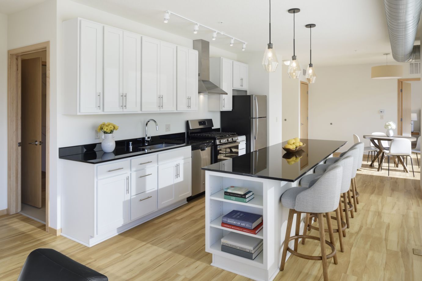 Apartment Kitchen