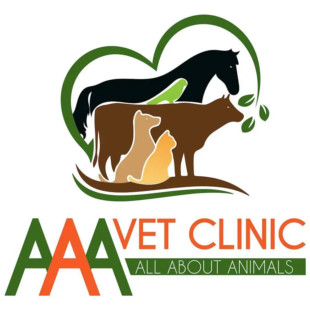 AAA Vet Clinic: Your Local Vets in Mount Isa