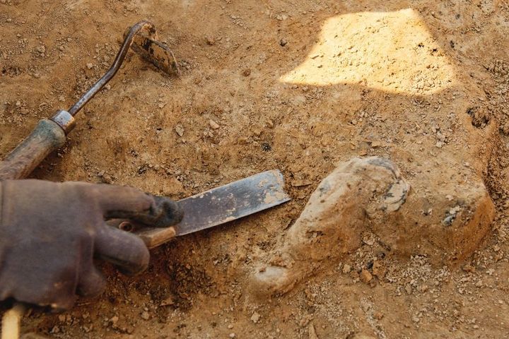 scavo archeologico