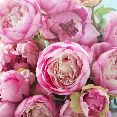 Peonies