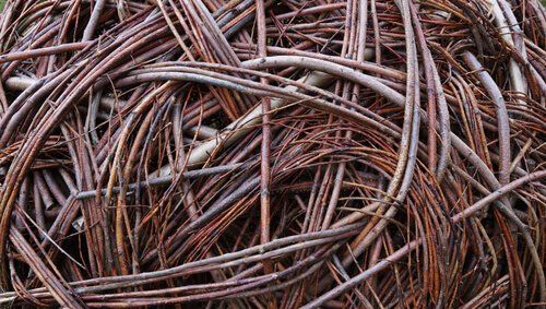 Twisted Willow