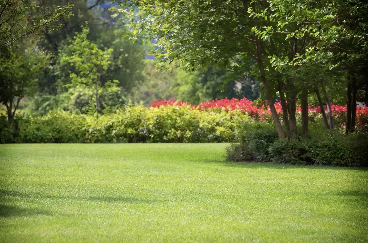 landscaping Juno Ridge FL