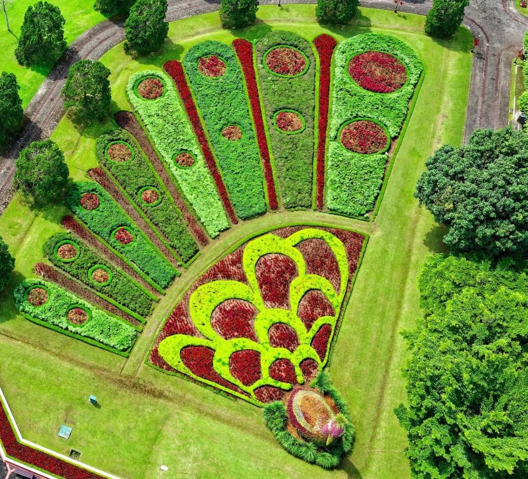 Landscaping Rio FL