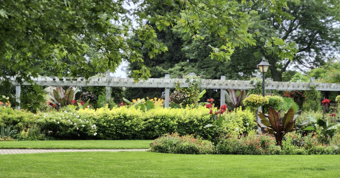 Landscaping Services in Juno Beach, FL