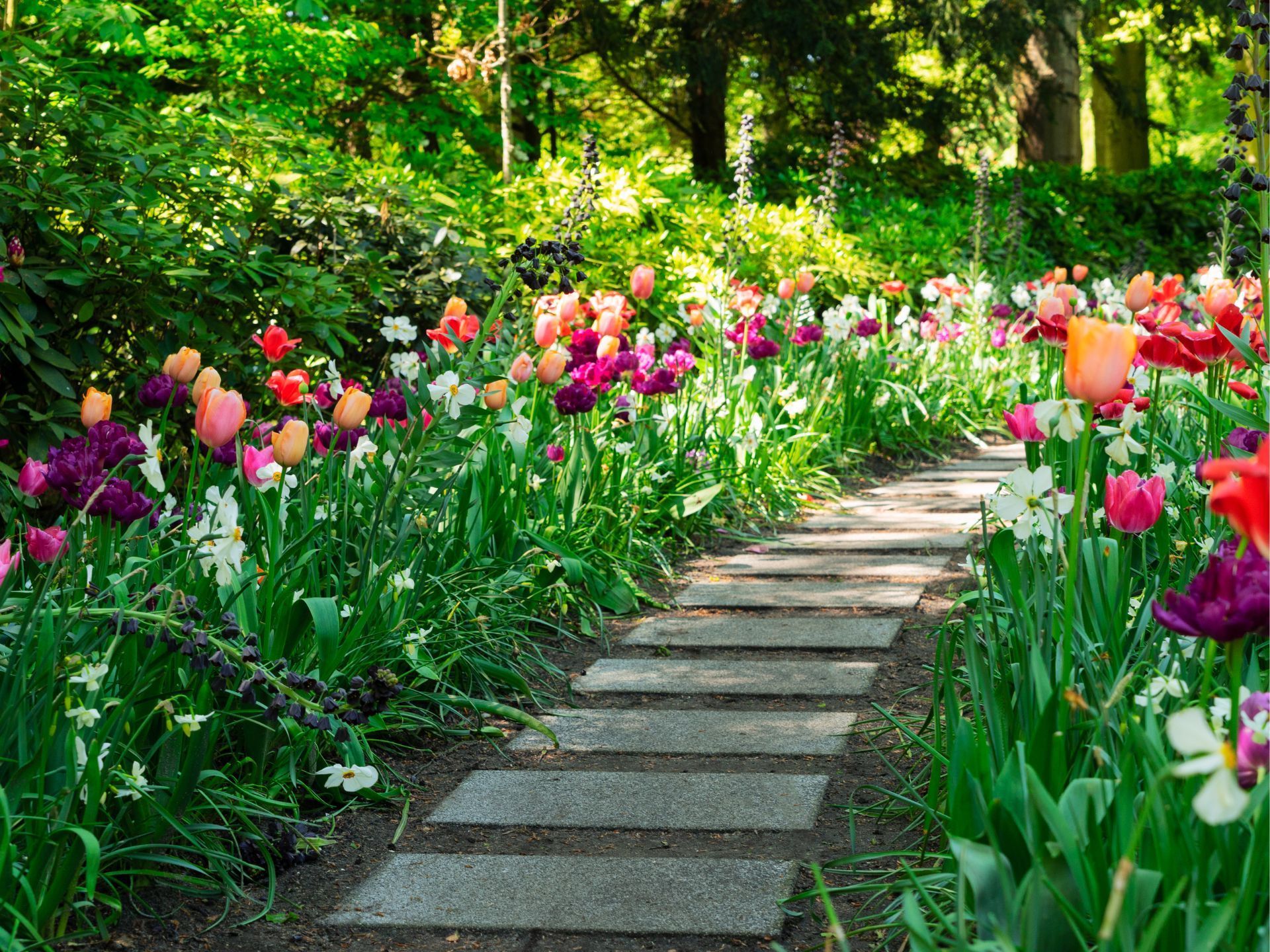 landscaping boca raton fl