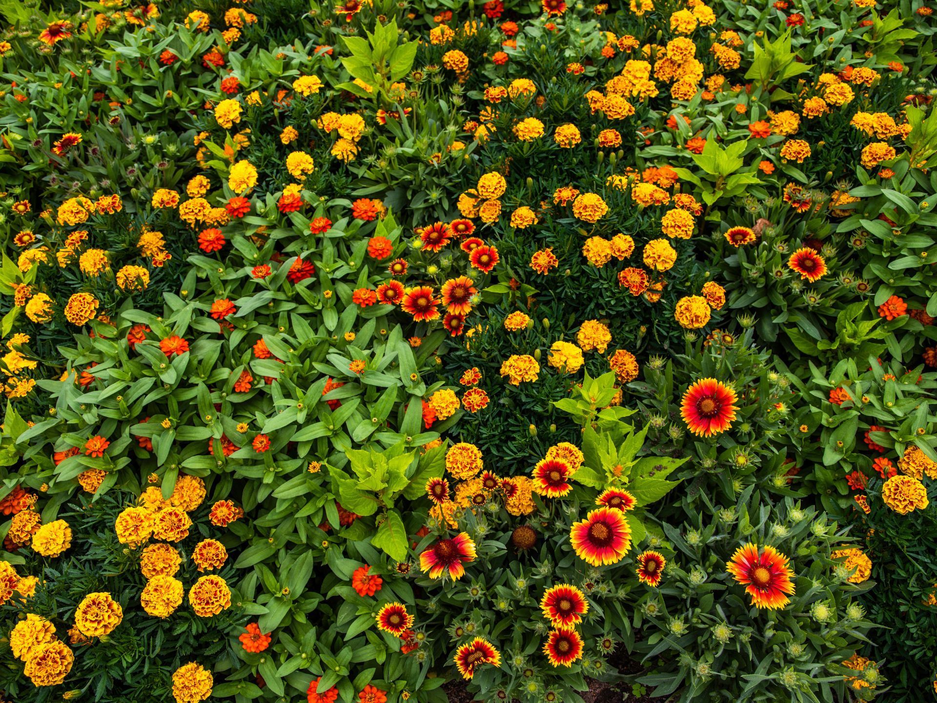 Jupiter Island landscaping
