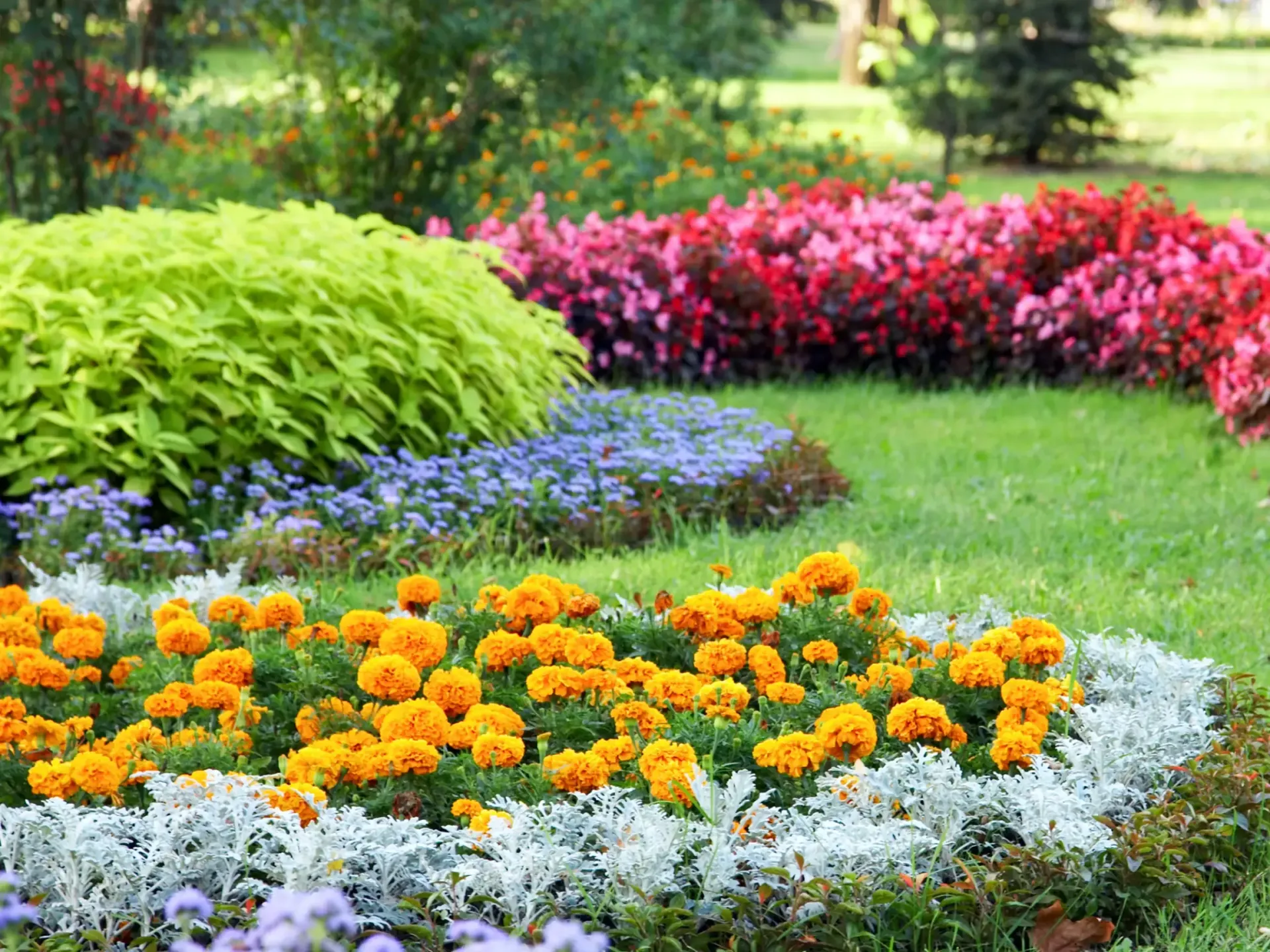 landscaping north palm beach