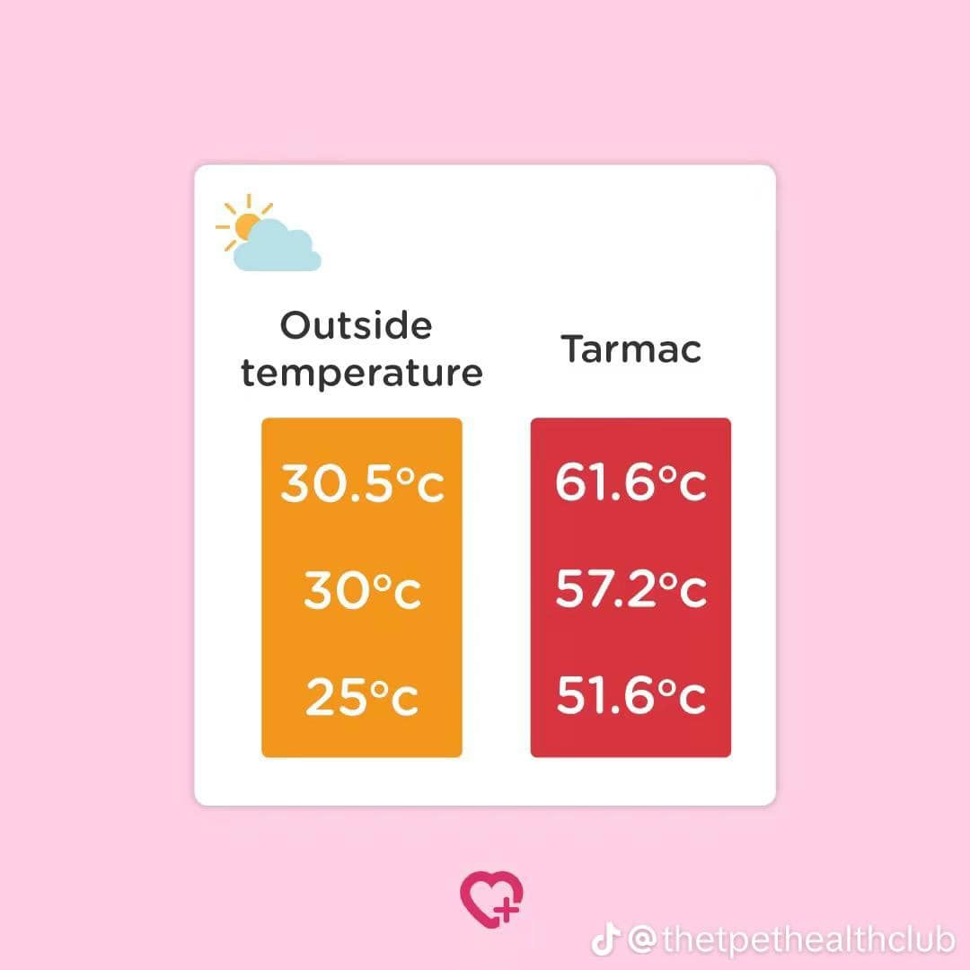 The outside temperature is 30.5 degrees celsius and the tarmac temperature is 61.6 degrees celsius