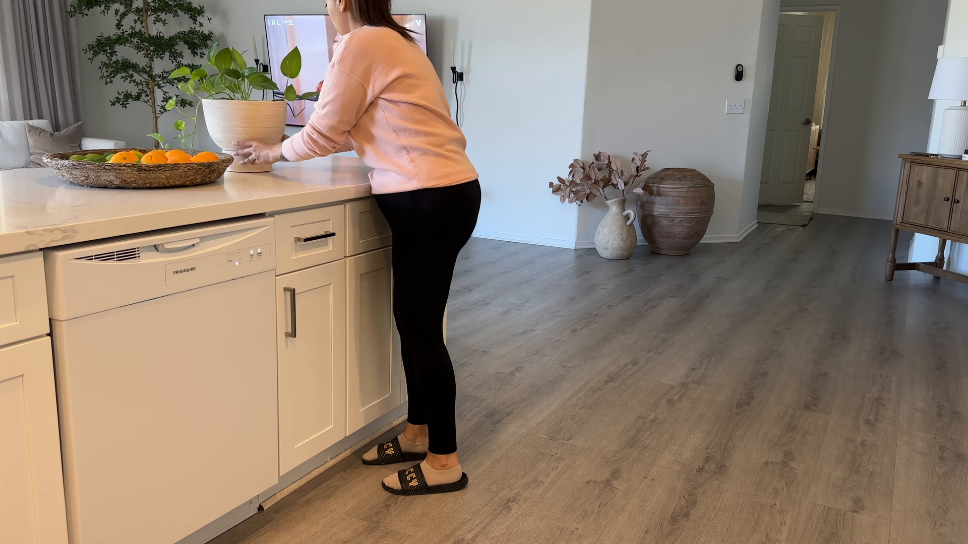 Pet-friendly house cleaning add-on in Long Island City NY