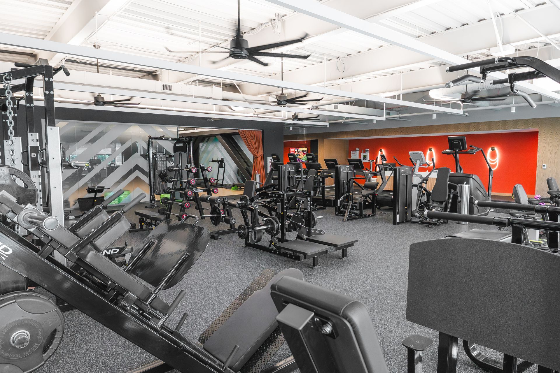 Modern gym interior with a power rack, bench, weights, and black rubber flooring with white markings