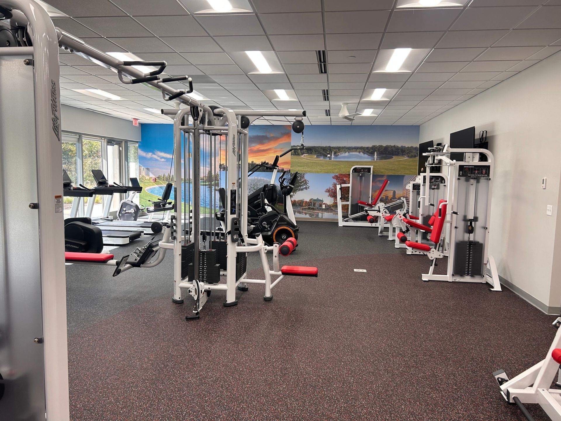 Gym interior with weight machines, cable equipment, and a mural wall under bright ceiling lights