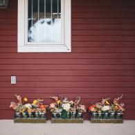 Red house siding with a window above three flower planters on a concrete ledge.