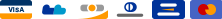 Row of credit card logos on a white background, including Visa, Mastercard, and American Express.