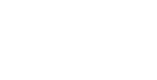 The Website Store