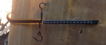 Bascula de machete RIMO cap. 100Kg