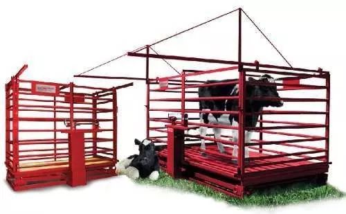Bascula ganadera mecanica TECNOCOR mod. 1500-G cap.1500 kg/500g