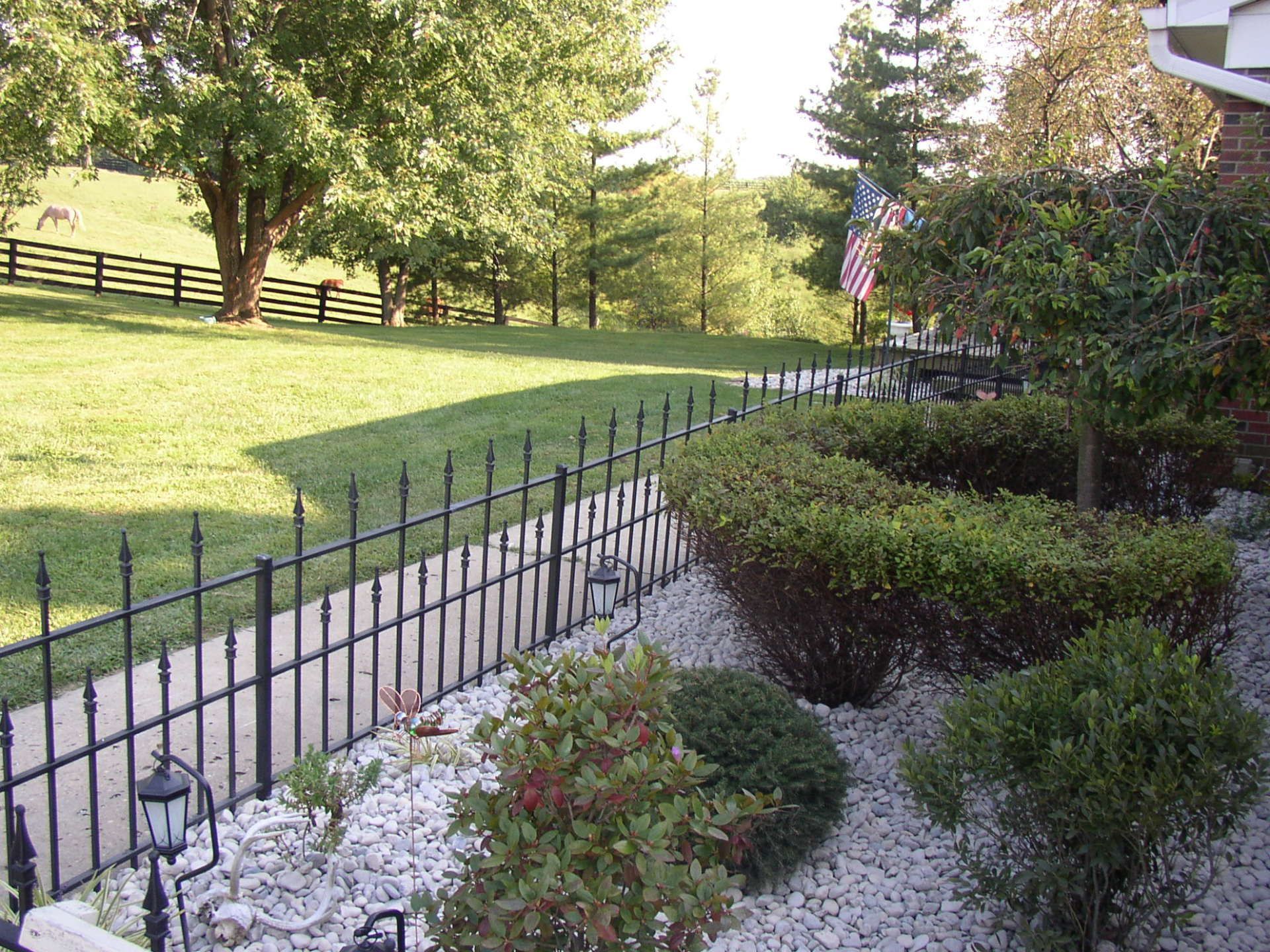 A house front yard with a black fence, bushes, grass, trees, and an American flag.
