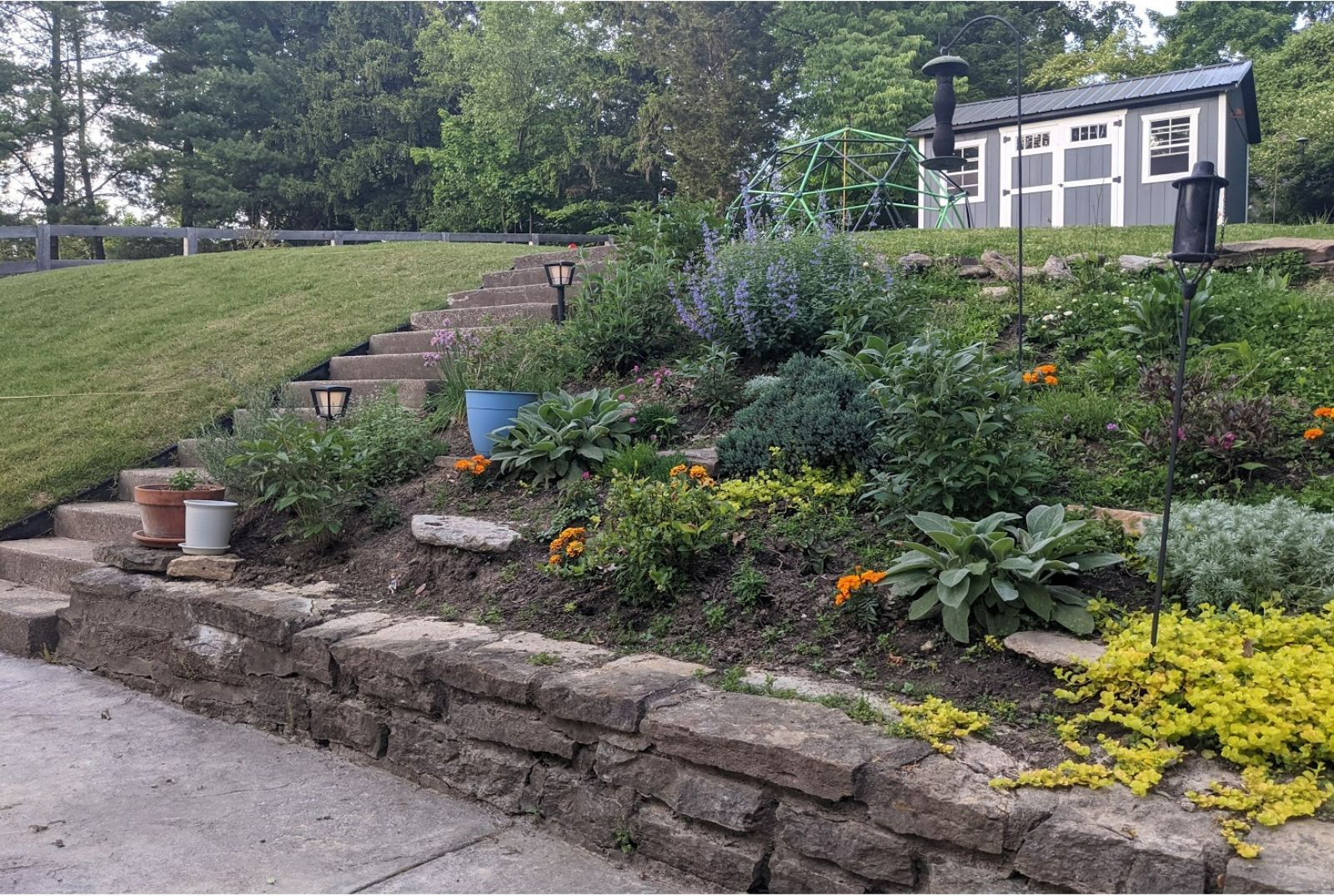 Stone retaining wall with steps leading to a terraced garden with blooming plants and a shed in the background.