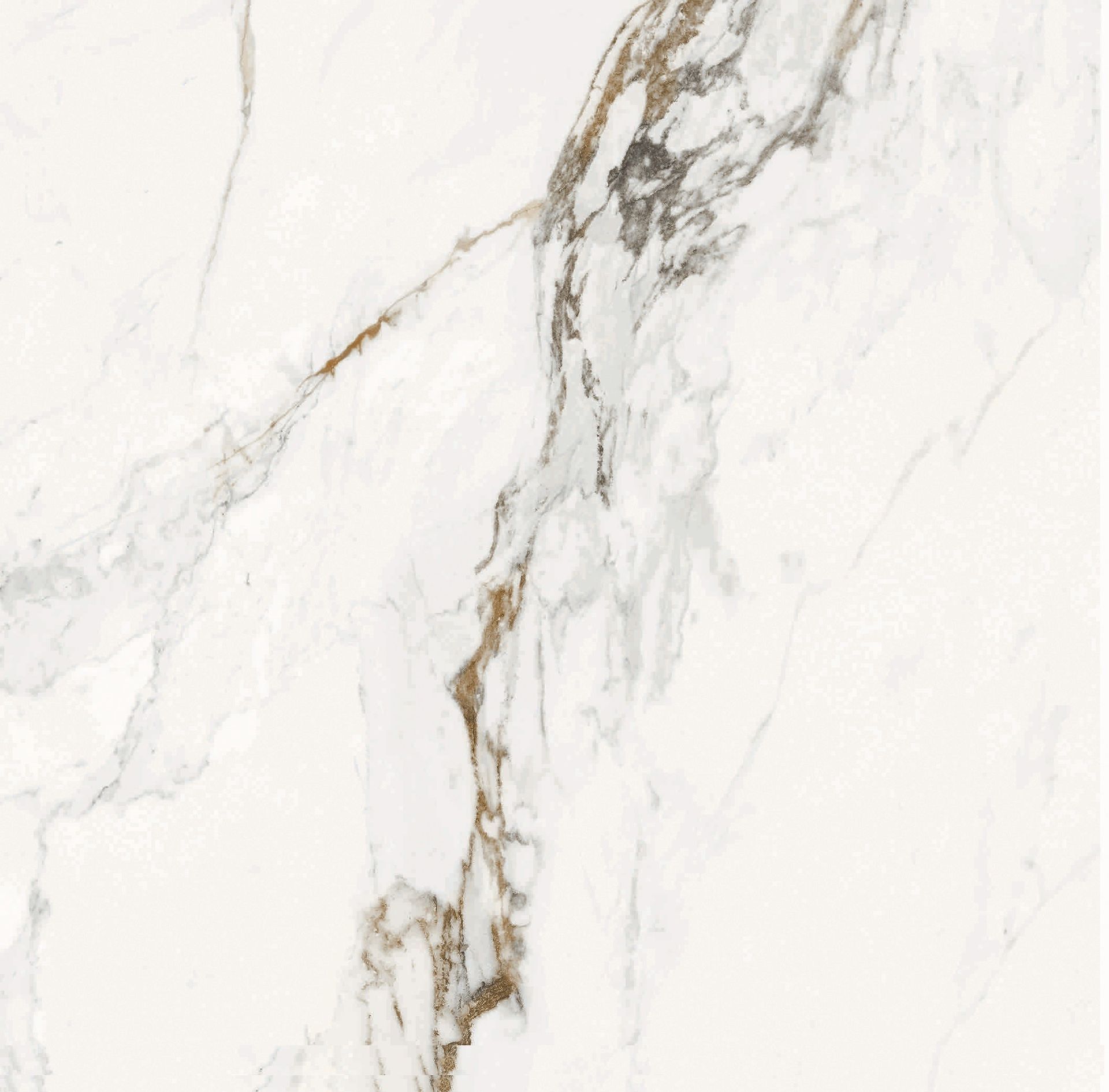 PAONAZZO WHITE CARVING 600 X 600