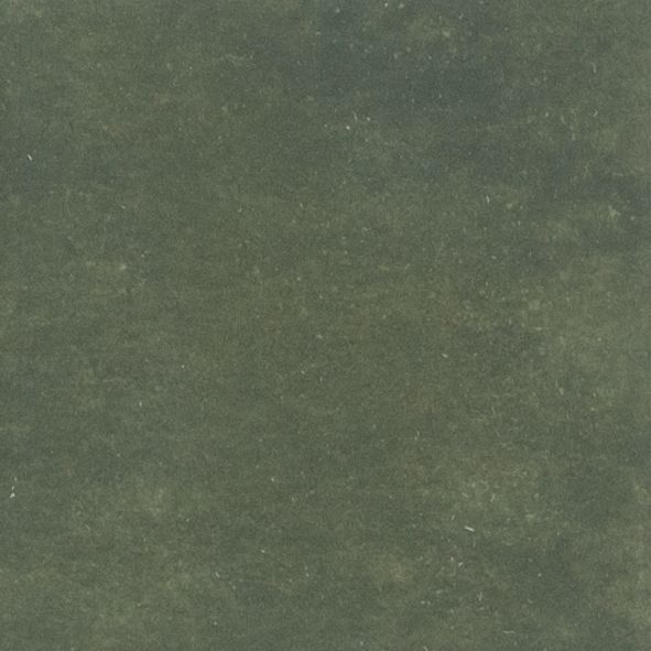 ROOM 12.10 SAGE DARK 100x100