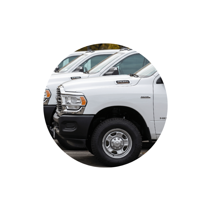 Row of diesel pickup trucks parked side by side, representing maintenance and repair services for diesel-powered vehicles.
