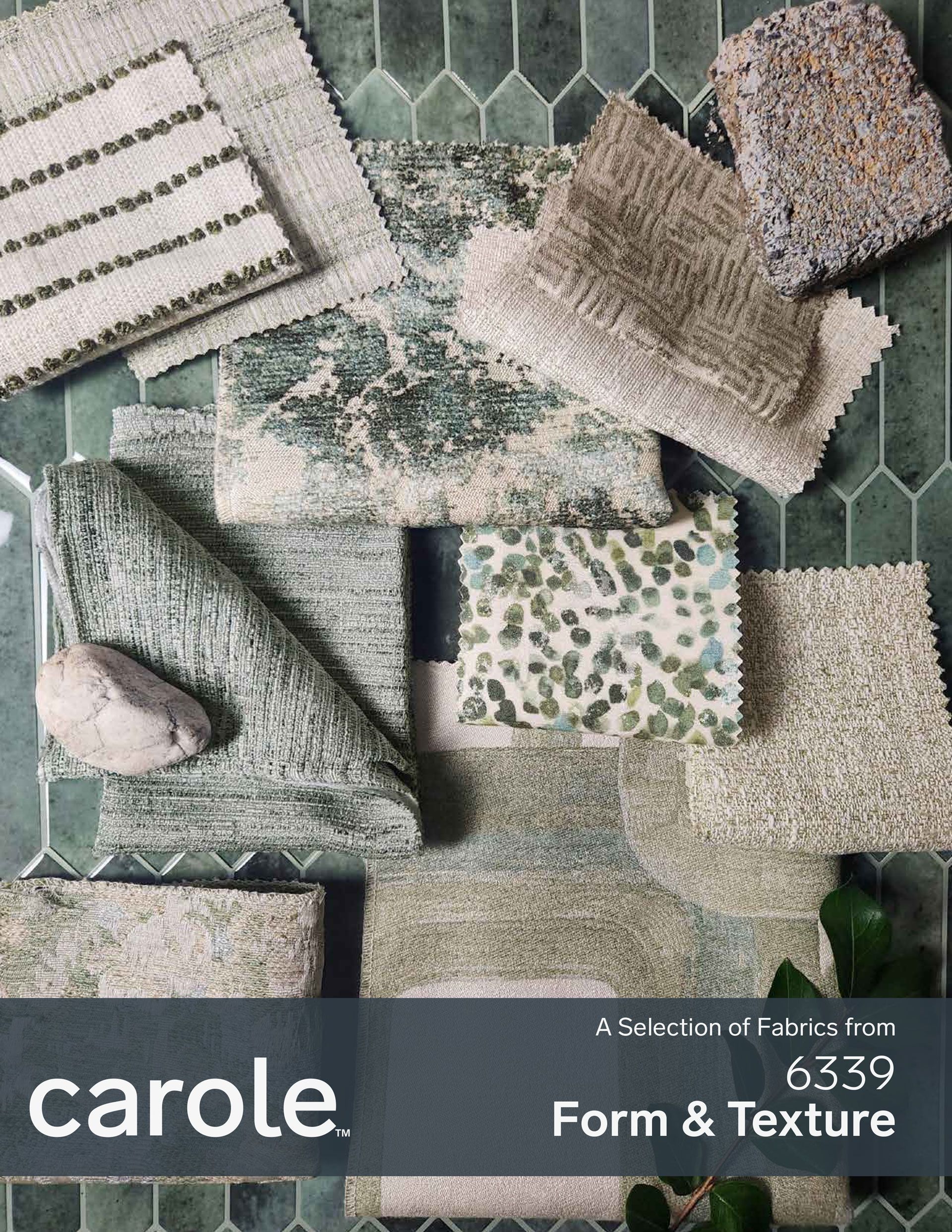 6339 Form & Texture
