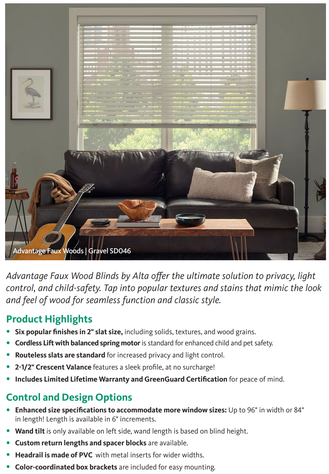 Living room with blinds, dark sofa, guitar, and a lamp near a window.