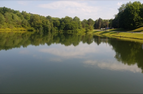 Calm lake reflecting trees and sky; grassy bank on right; sunny day.