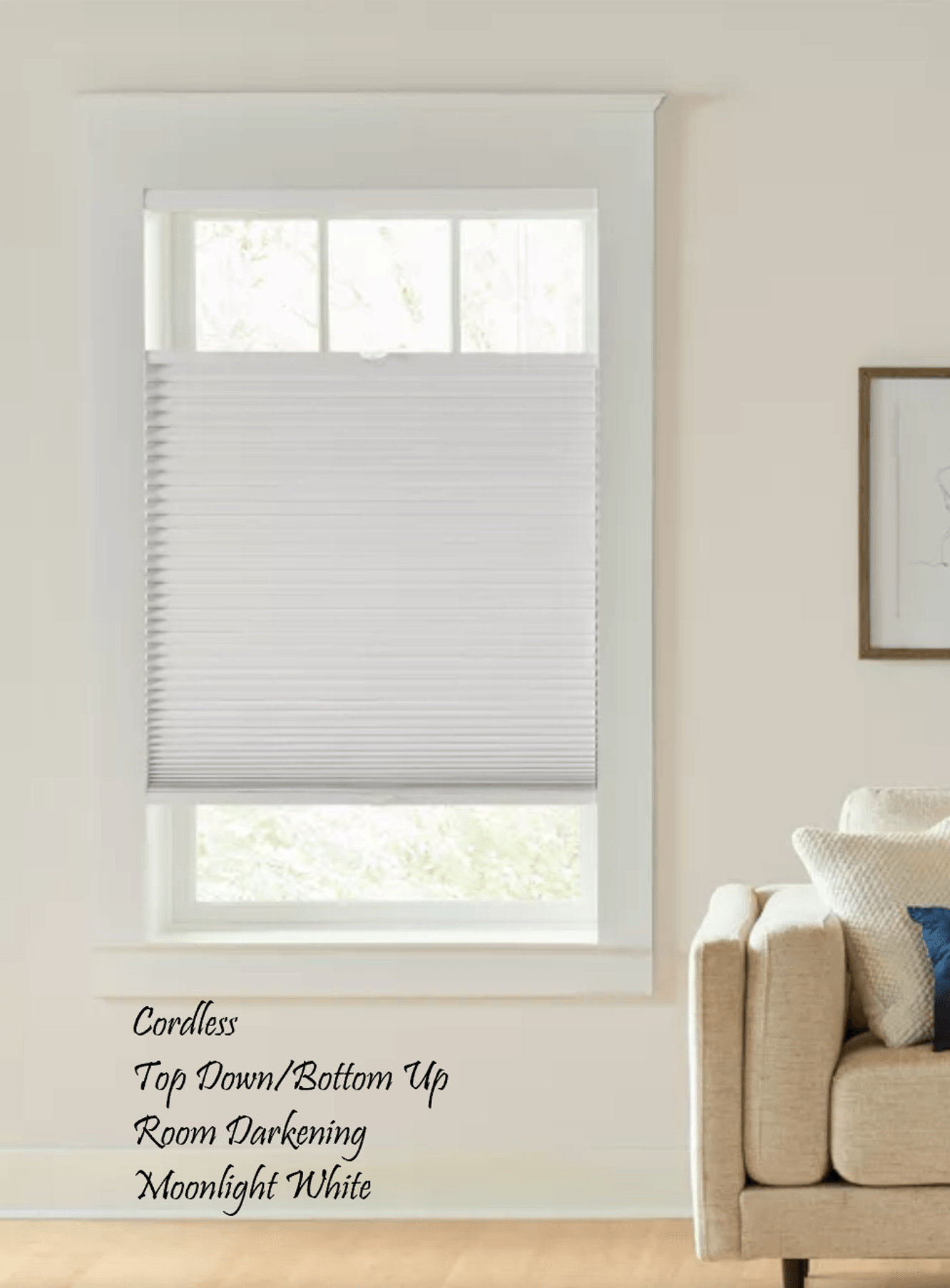 White window blinds, top-down/bottom-up, in a living room. Beige wall, sofa, and framed artwork.
