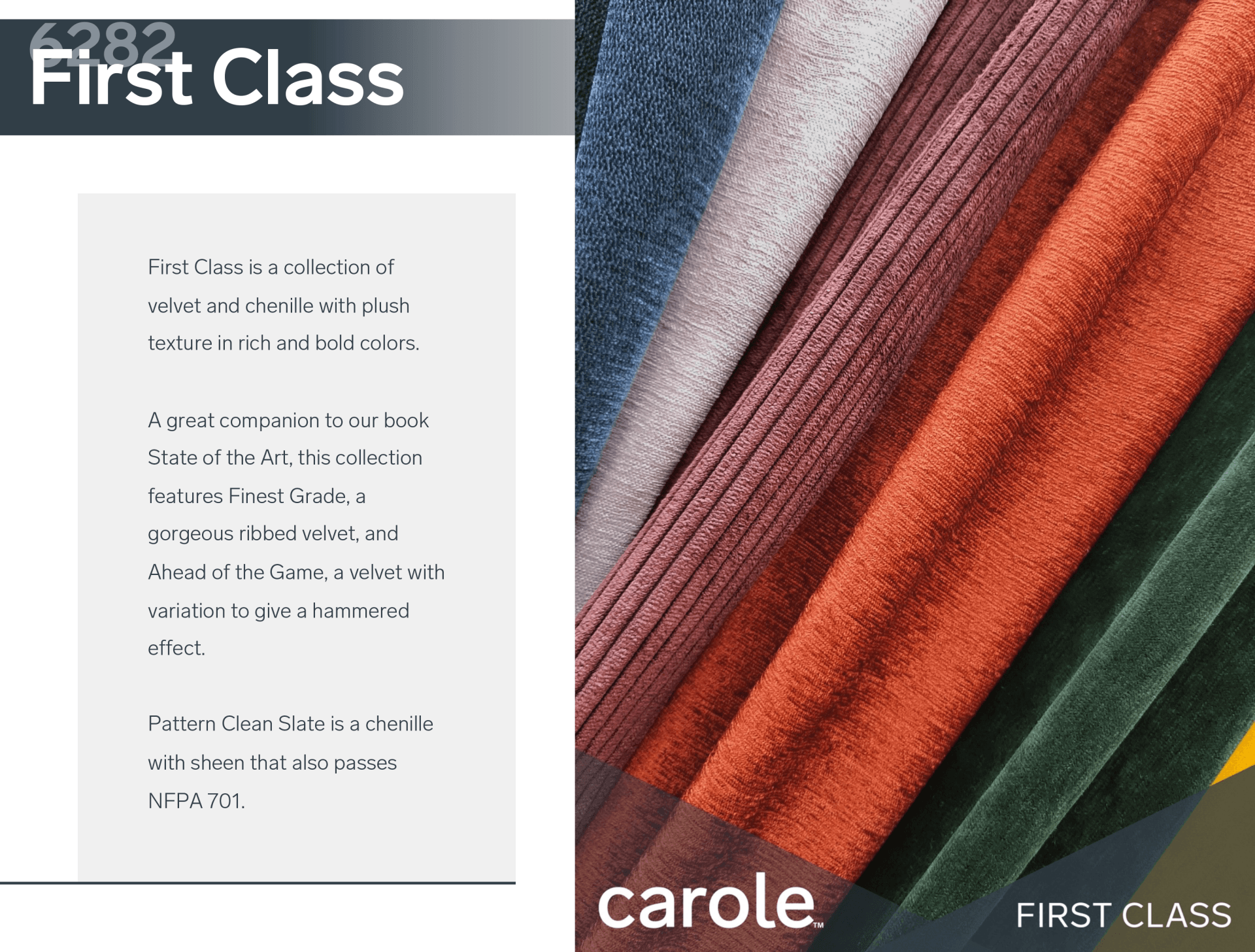 Carole #6282 First Class
