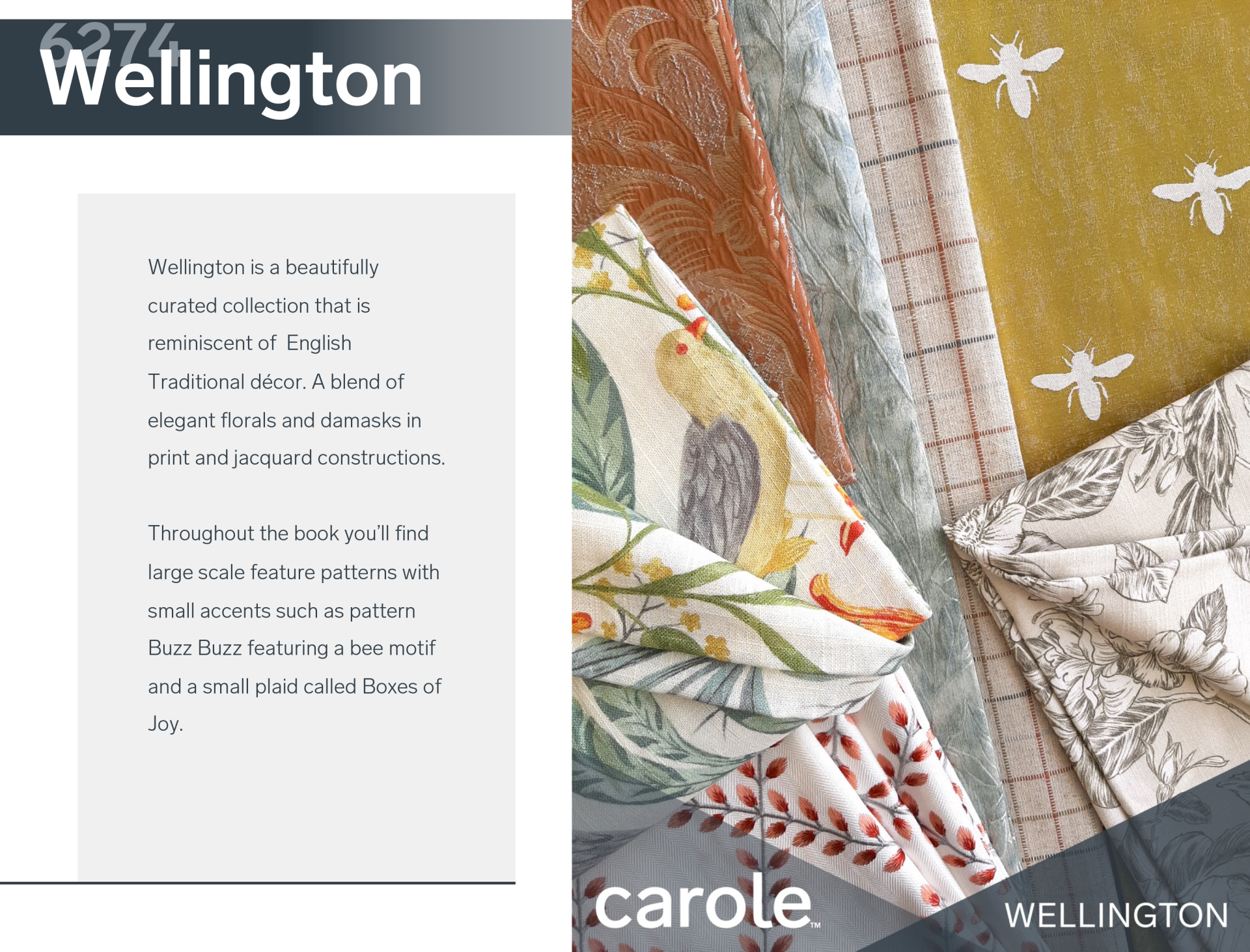 Carole #6274 Wellington