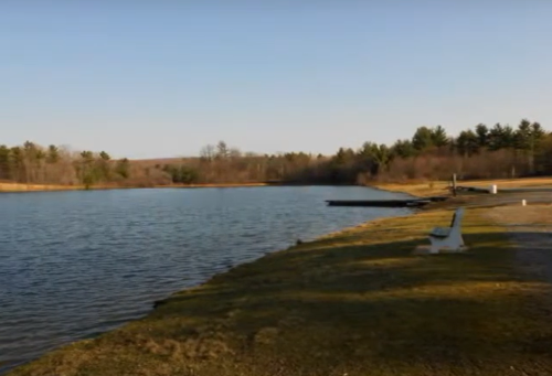 Calm lake scene with a dock, grassy shoreline, and trees under a clear sky.