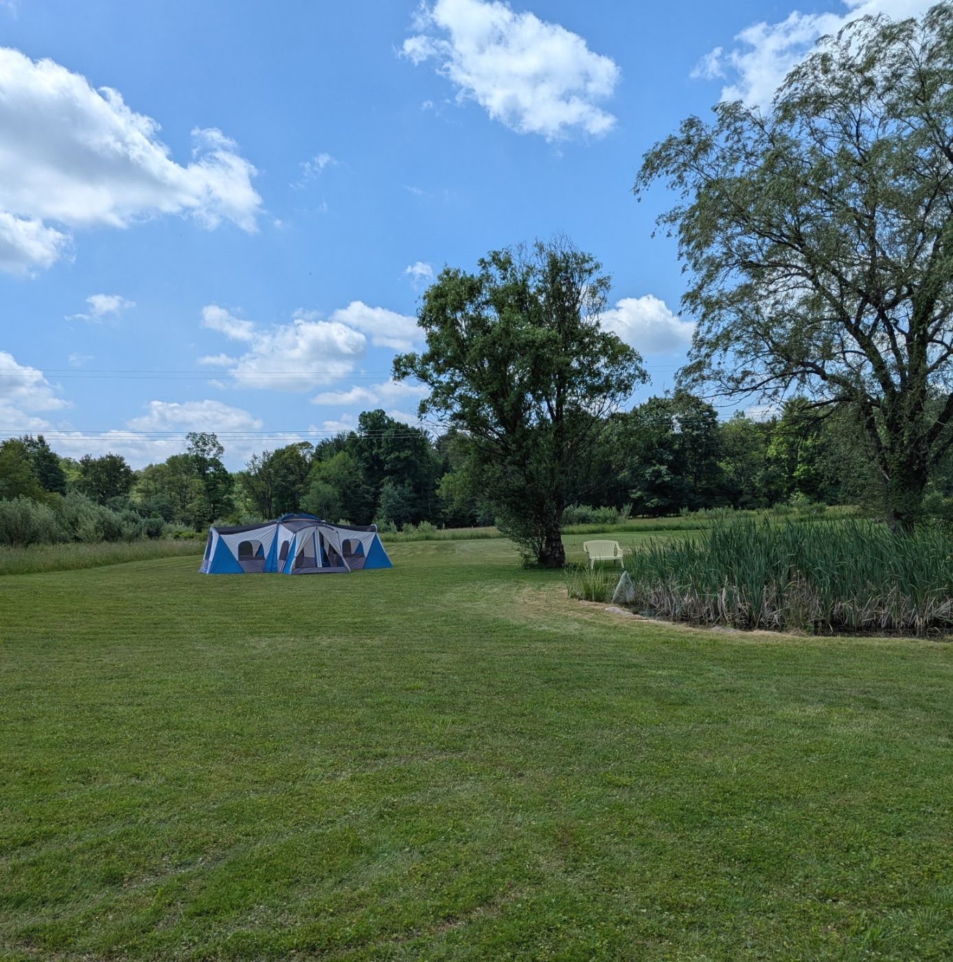 Blue tents on a grassy field, trees and a partly cloudy sky in the background.