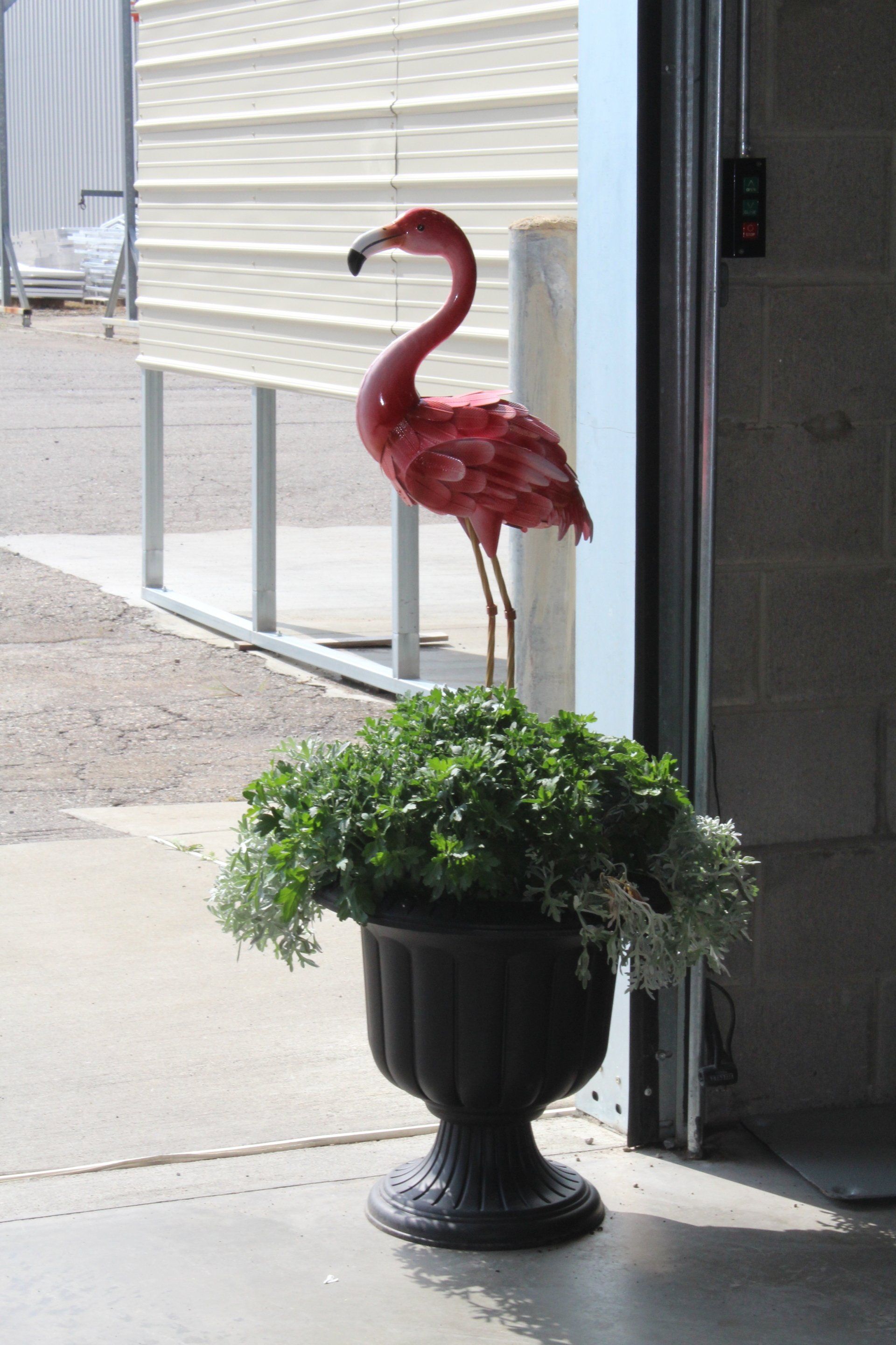 Pink flamingo lawn ornament in a black planter by a doorway