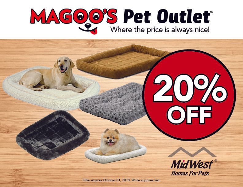 Pet outlet ad showing colorful dog beds with 20% off sale and a dog in a white bed.