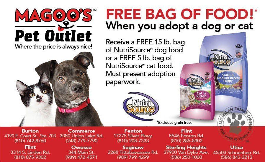 Magoos Pet Outlet ad with dog and cat, offering a free bag of pet food with adoption paperwork.