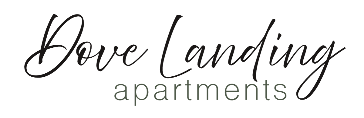 Company Logo - Click to go to Home Page