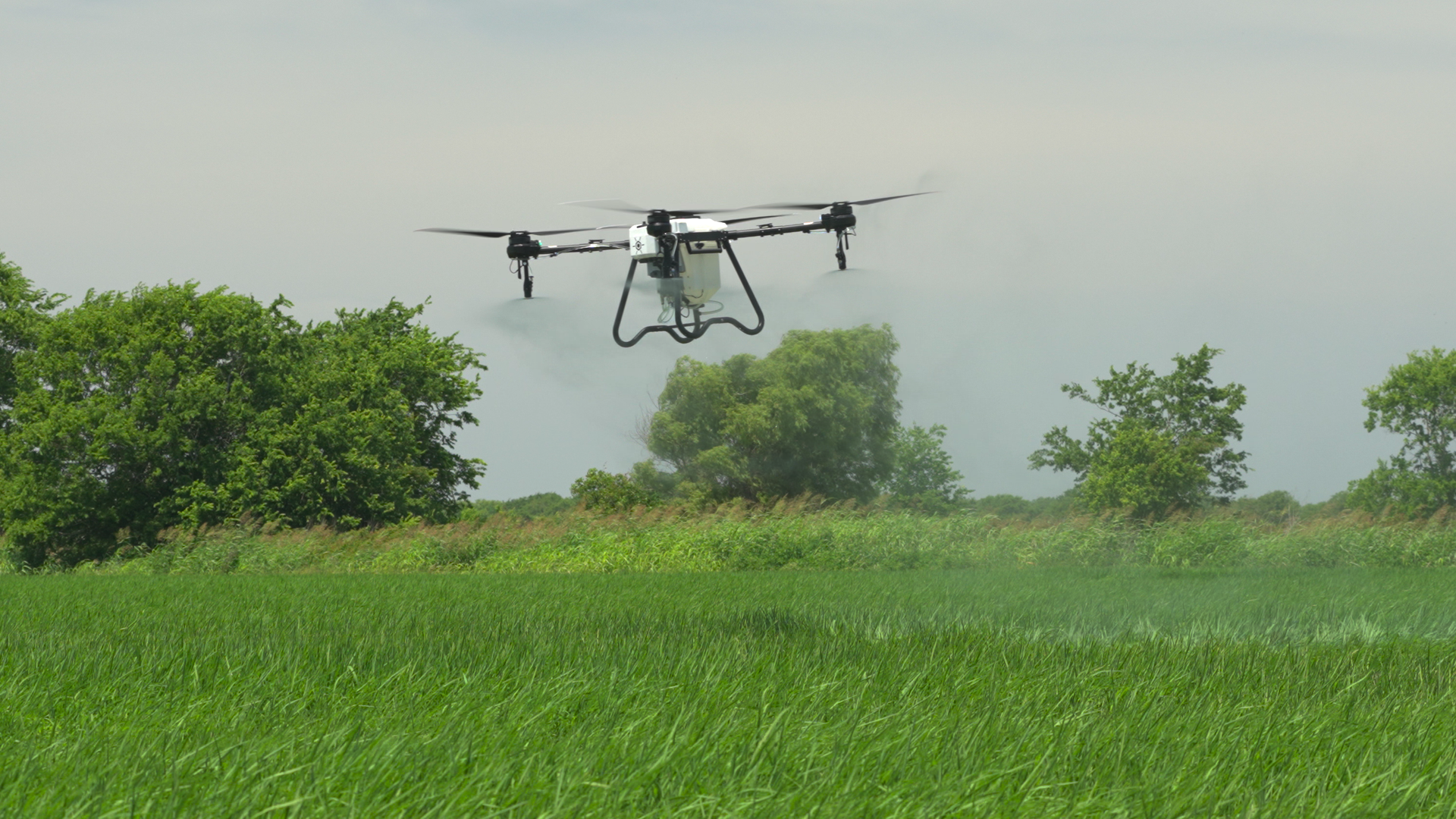Hylio Drone Spraying Crop