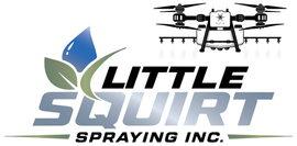 Little Squirt Spraying Logo