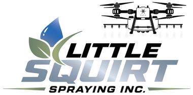 Little Squirt Spraying Logo